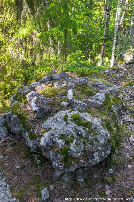 Орлова гора Псковская область